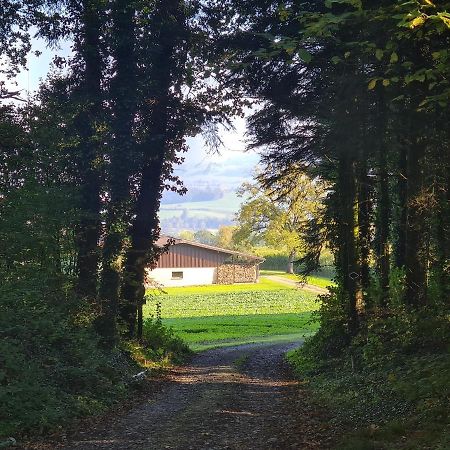 Familiy & Kids Suite Im Herzen Der Schweiz Dietwil Zewnętrze zdjęcie