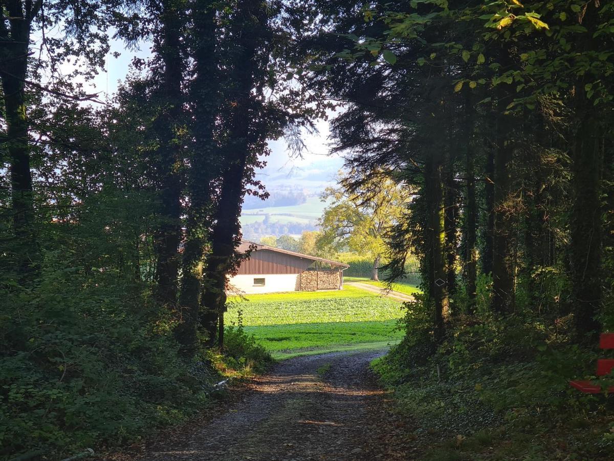 Familiy & Kids Suite Im Herzen Der Schweiz Dietwil Zewnętrze zdjęcie