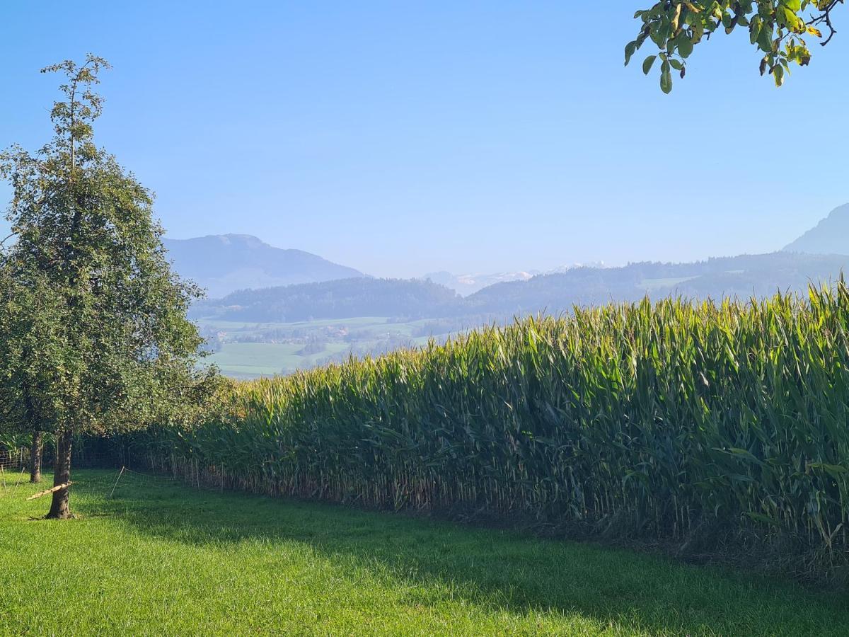 Familiy & Kids Suite Im Herzen Der Schweiz Dietwil Zewnętrze zdjęcie